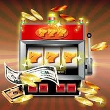 bet96955